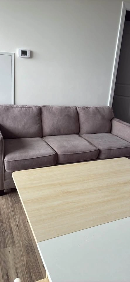 Grey sofa 200$ new no tears - photo 3