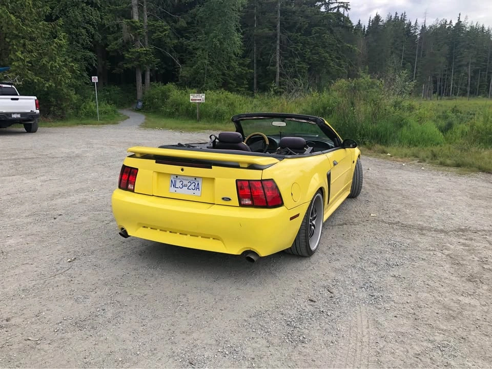 2001 Ford Mustang - photo 2