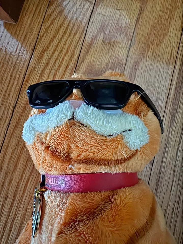 Cool Garfield Plush w/ Sunglasses & Collar