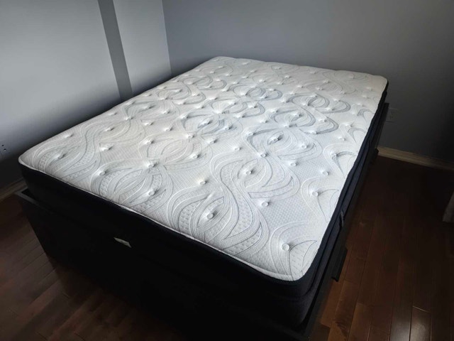 Queen Size Mattress and Storage Bed Frame - photo 3