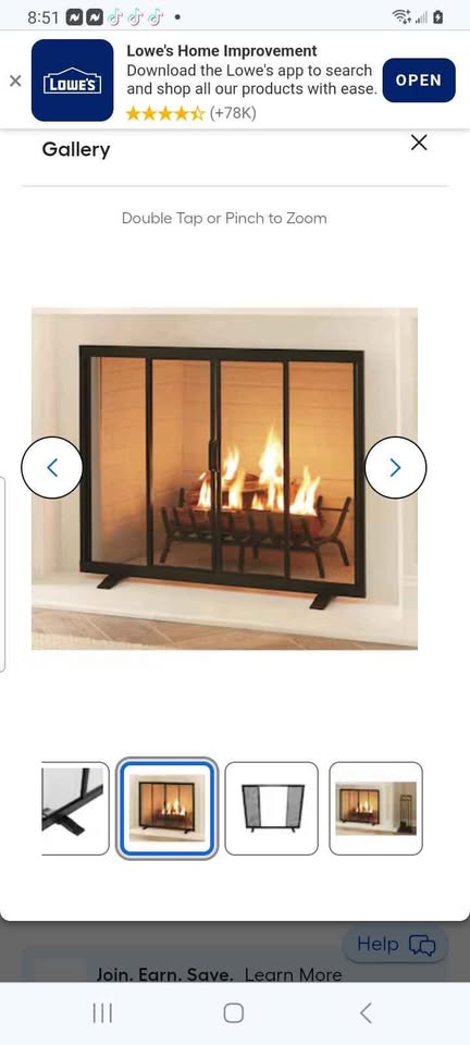 Fireplace Screen - photo 2