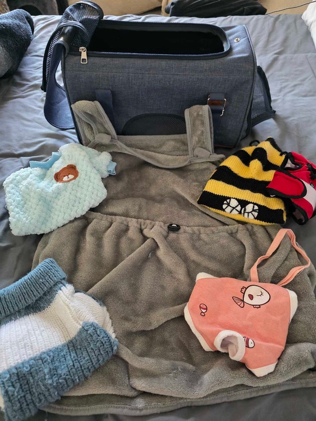 Pet Carrier and Clothing Set