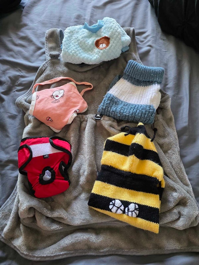 Pet Carrier and Clothing Set - photo 2
