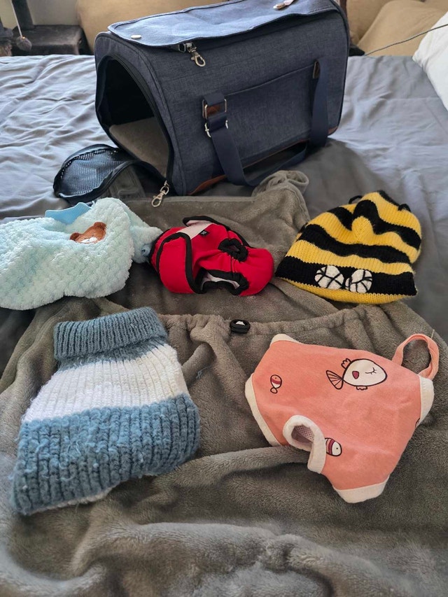 Pet Carrier and Clothing Set - photo 3