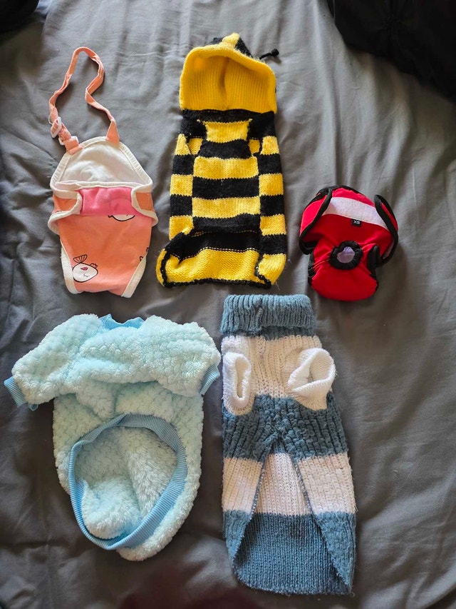 Pet Carrier and Clothing Set - photo 4