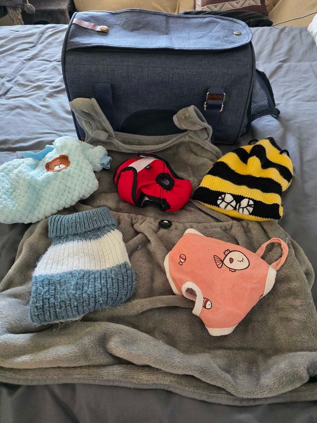 Pet Carrier and Clothing Set - photo 5