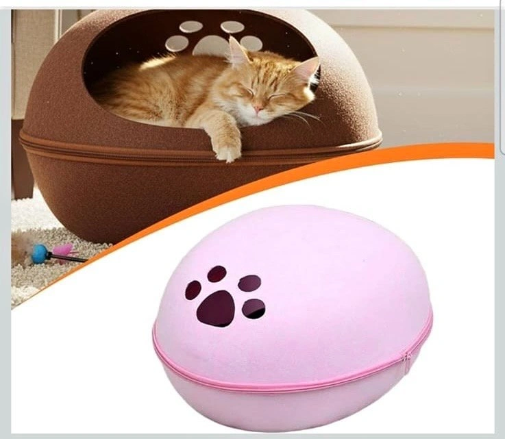 Cat House, Kitten House, Indoor Kitten House