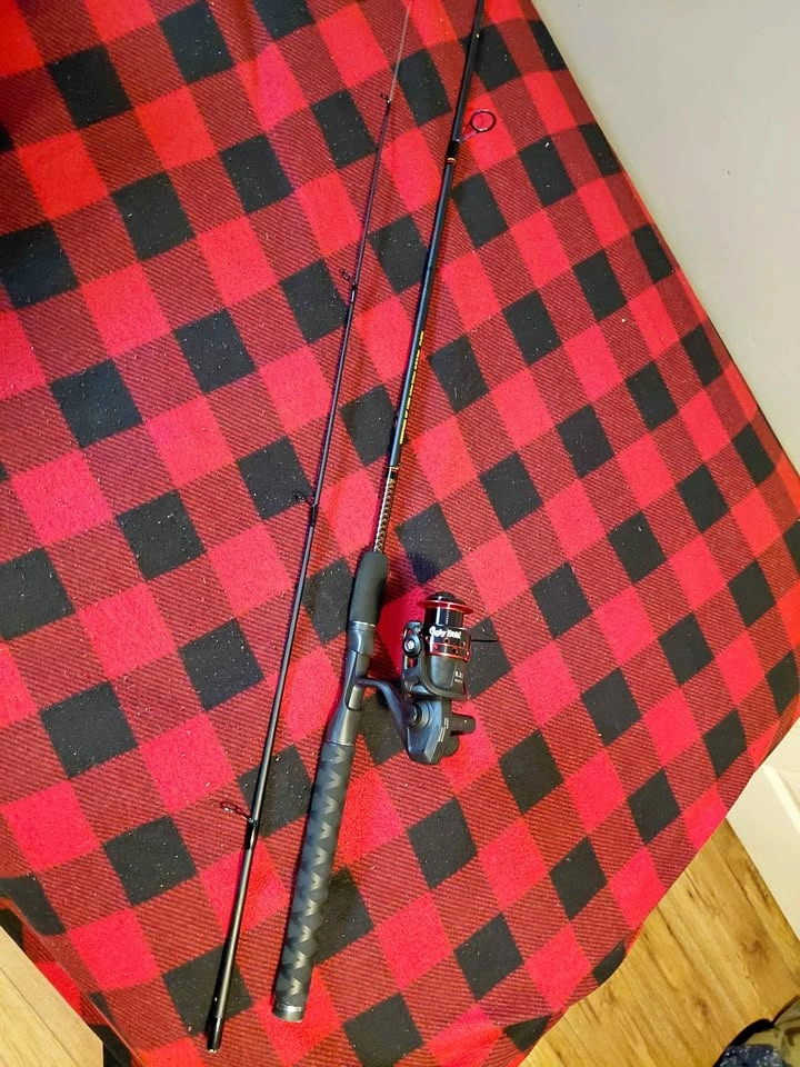 Fishing rod and gear