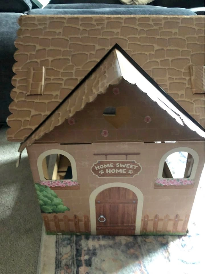 ⚽️ Cat Cardboard House So Cute!!!
