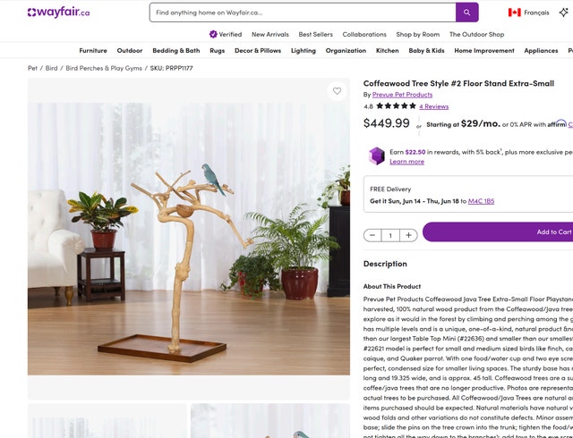 Coffeawood Tree Floor Stand Extra-Small