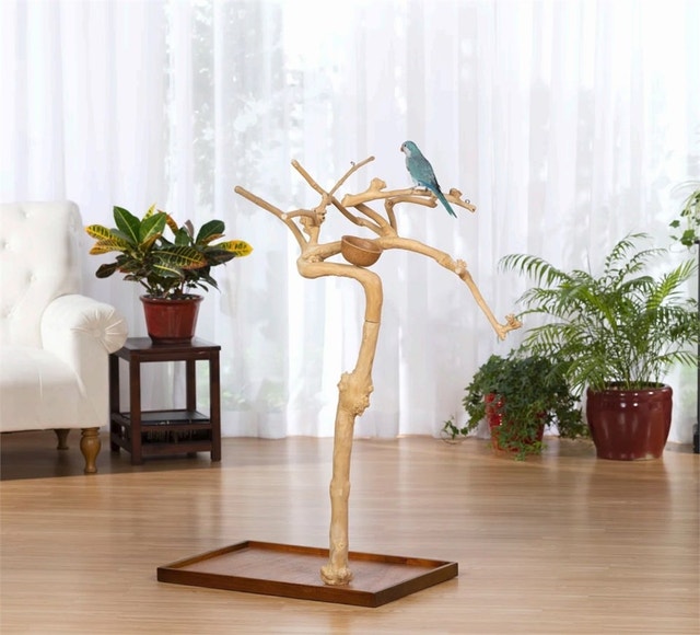 Coffeawood Tree Floor Stand Extra-Small - photo 2