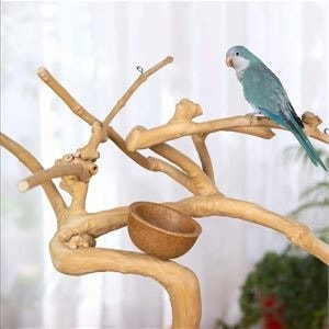 Coffeawood Tree Floor Stand Extra-Small - photo 4
