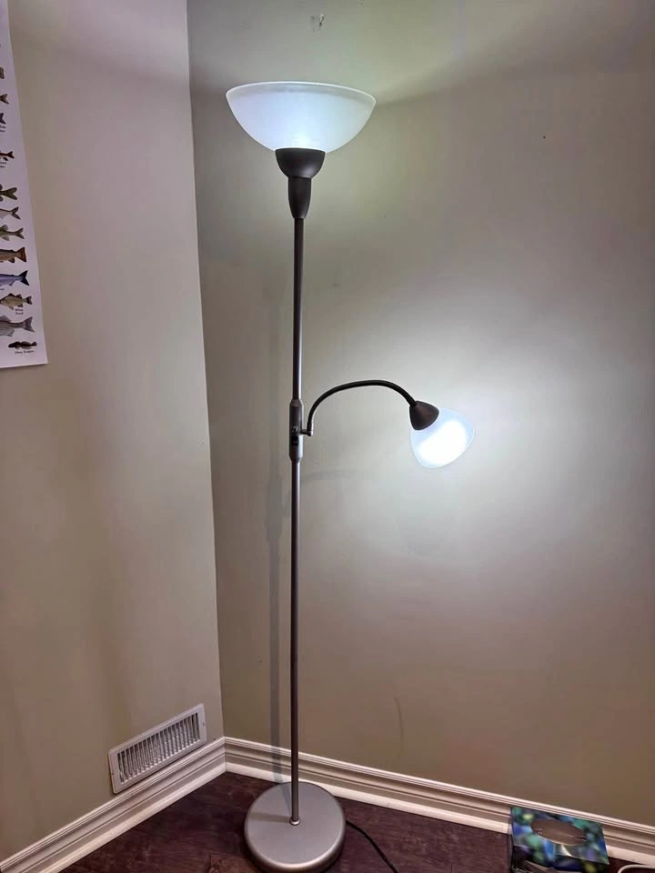 Floor Lamp with Reading Light