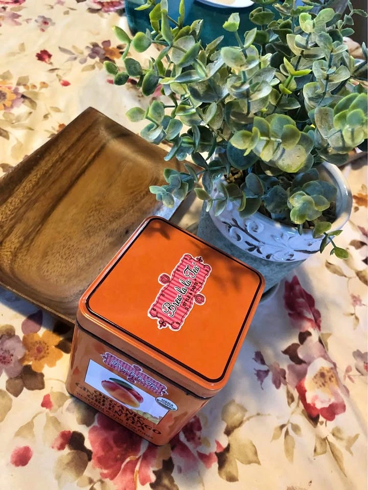 ⚽️ Lot: Faux Eucalyptus in Ceramic Pot, NEW Tea & Wood tray