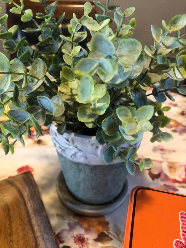 ⚽️ Lot: Faux Eucalyptus in Ceramic Pot, NEW Tea & Wood tray - photo 3