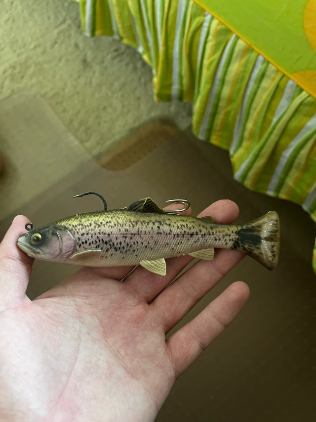 paddletail Swimbait