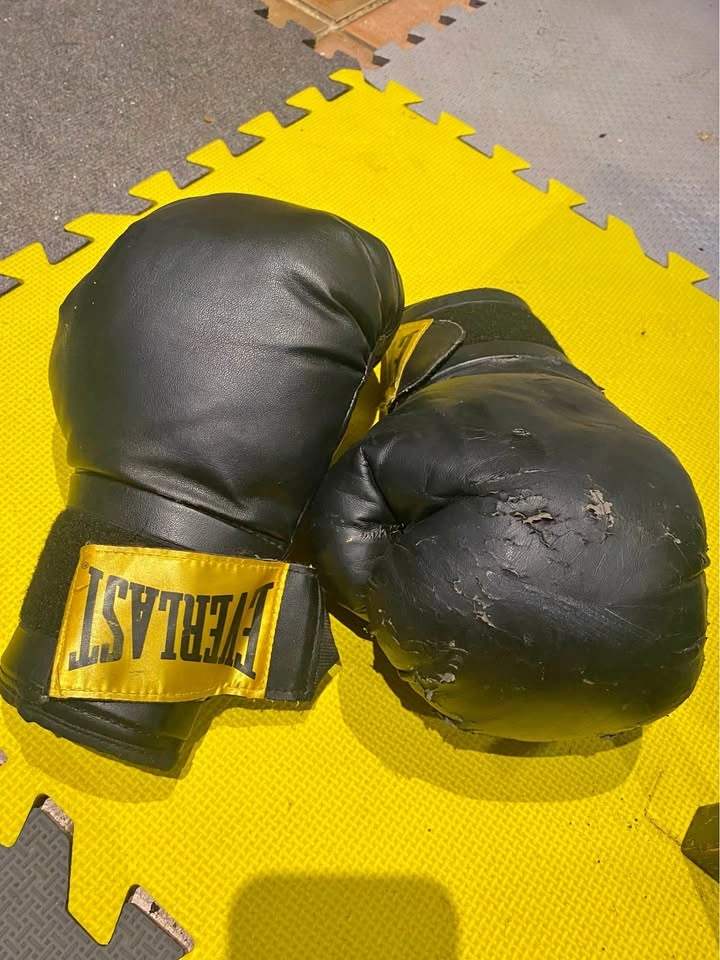 Everlast Boxing Gloves 14 oz