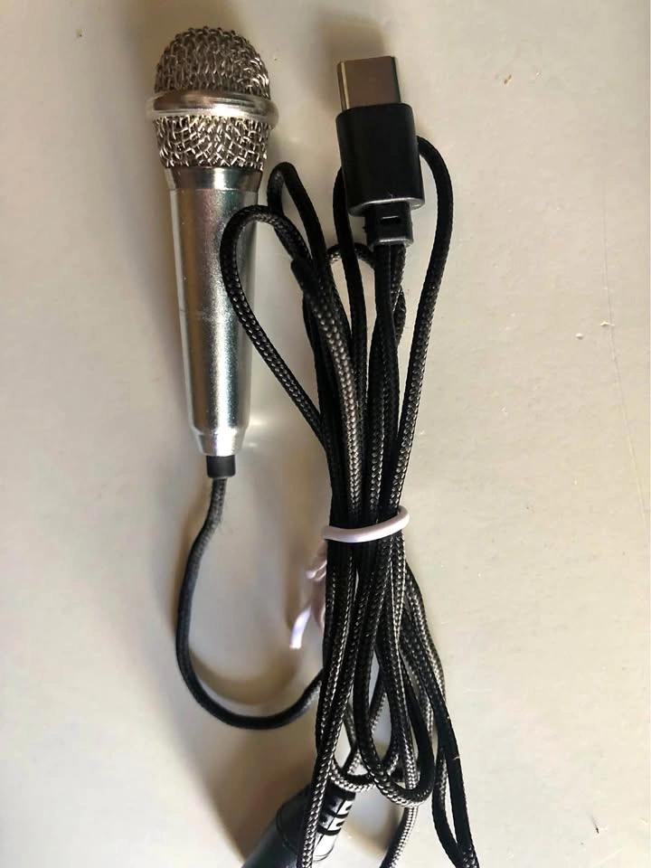 ⚽️ Mini microphone with usb & Jack plug