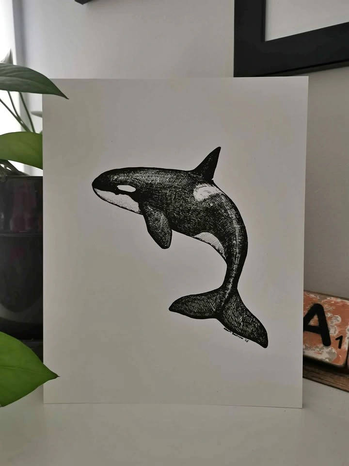 "Komox" Orca print by Local Artist