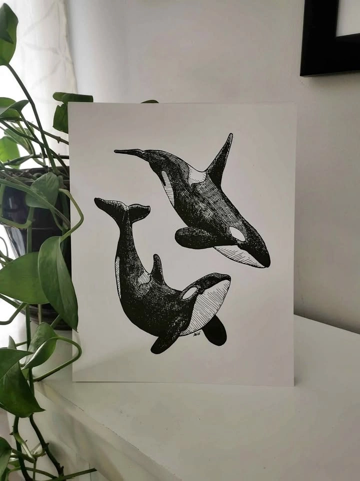 Orca Art Print by Local Artist