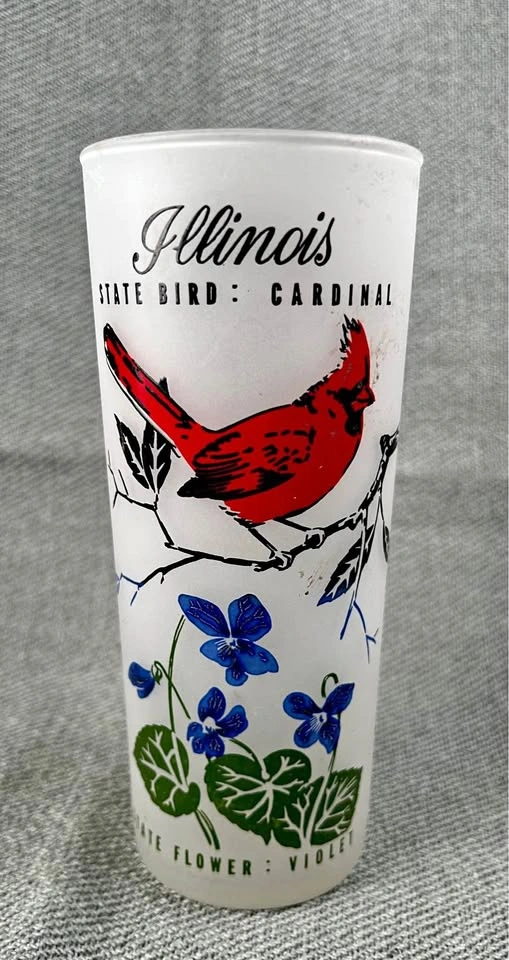 Vintage Frosted State of Illinois Tumbler with Cardinal