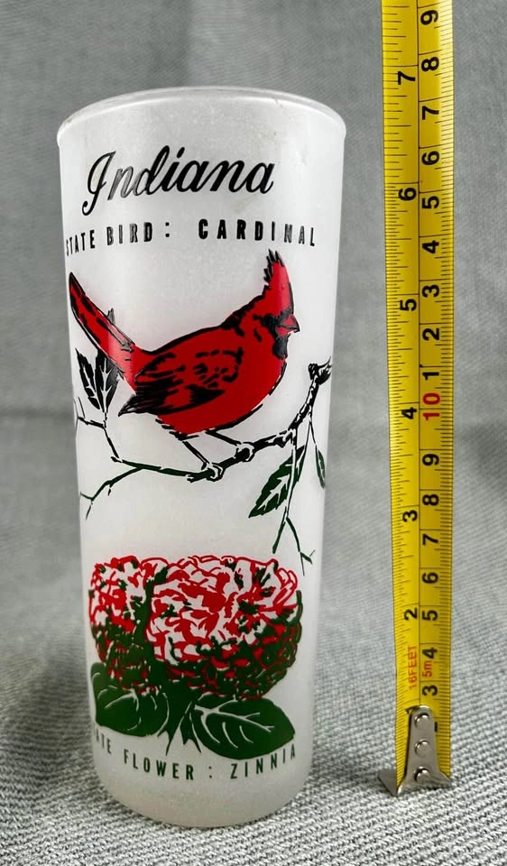 Vintage Frosted State of Indiana Tumbler with Cardinal and Zinni - photo 3