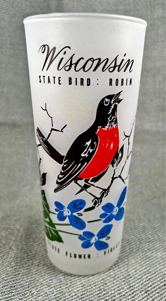 Vintage Frosted State of Wisconsin Tumbler with Robin and Violet
