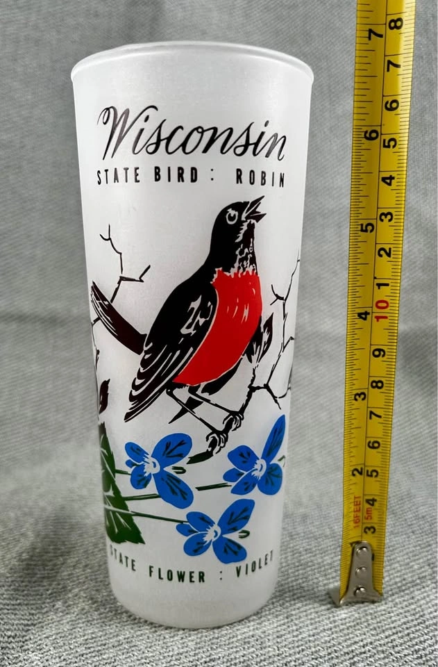 Vintage Frosted State of Wisconsin Tumbler with Robin and Violet - photo 3