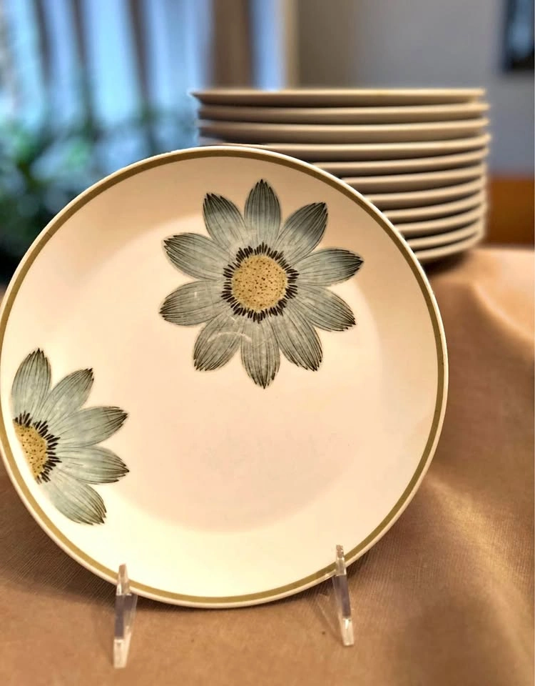 Noritake Progression Up Sa Daisy China Salad Plates, Set of 6