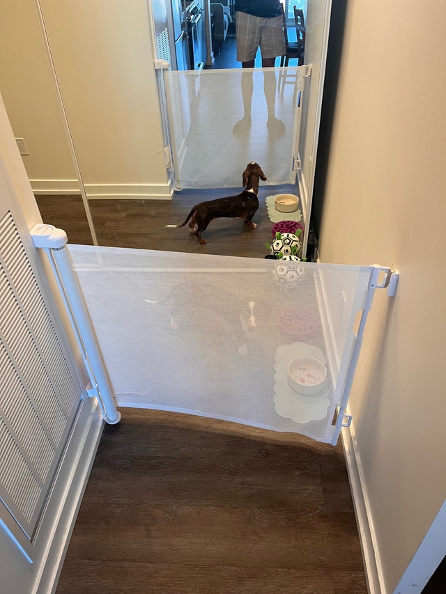 Retractable Dog/Baby Gate