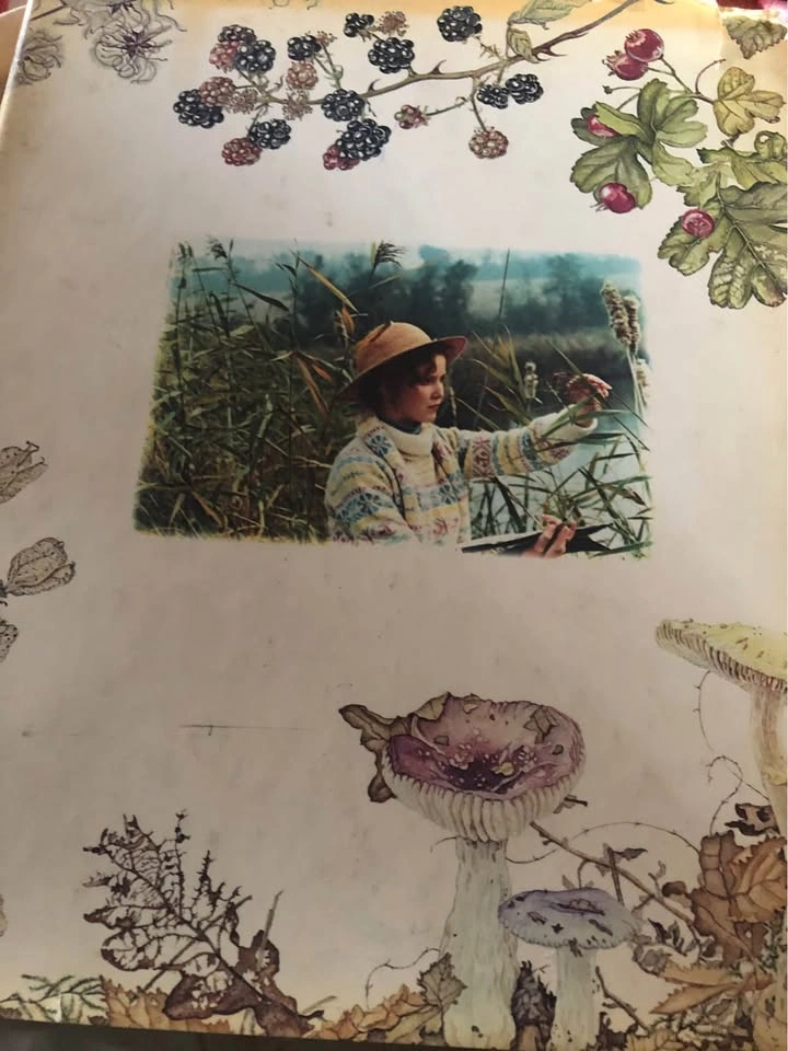 ⚽️ Nature Diary Vintage book by Janet Marshal - photo 3