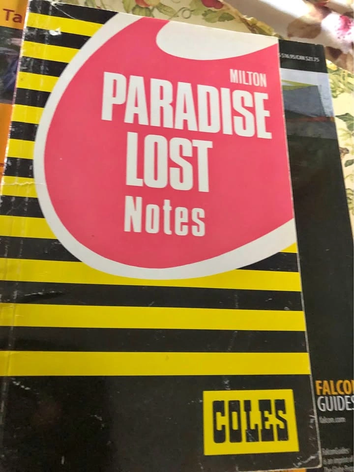 ⚽️ Paradise Lost Coles Notes