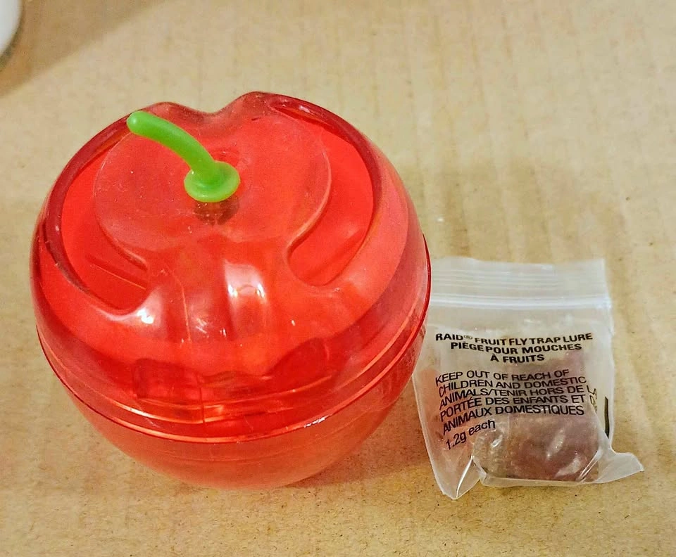 Indoor fruit fly trap with lure