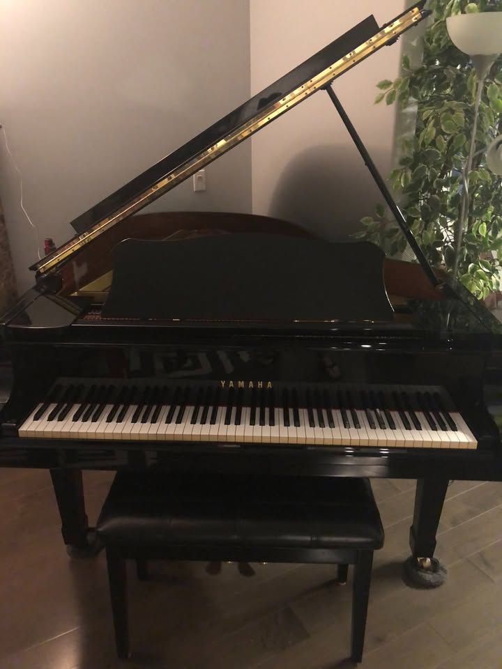 Yamaha C3 Conservatory Grand 6’ 1” Like New - photo 3