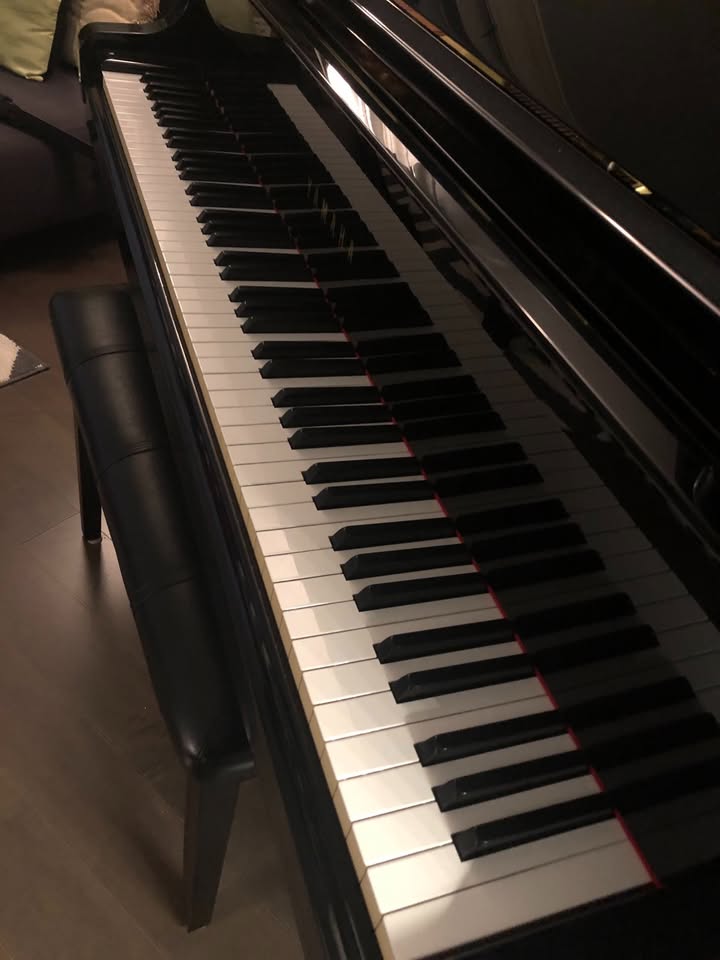 Yamaha C3 Conservatory Grand 6’ 1” Like New - photo 4