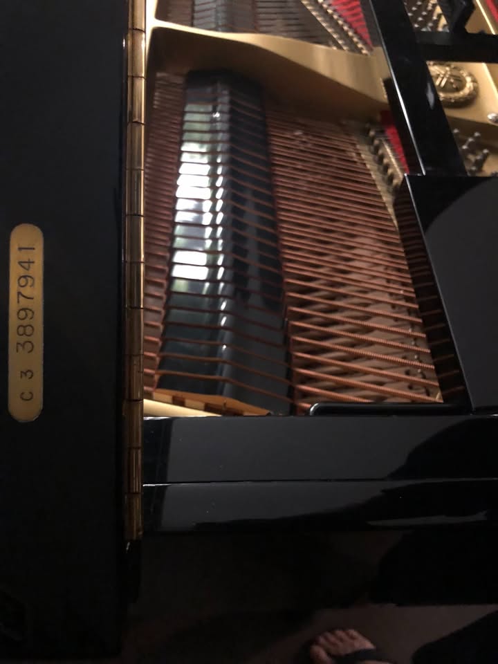 Yamaha C3 Conservatory Grand 6’ 1” Like New - photo 5