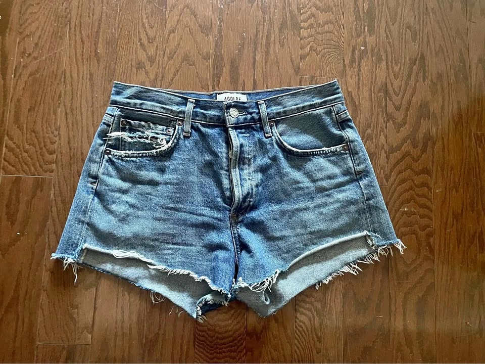 Agolde Parker Shorts