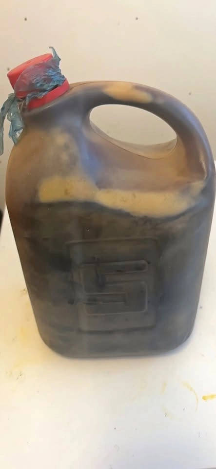 Palm kernel oil (adin dudu)