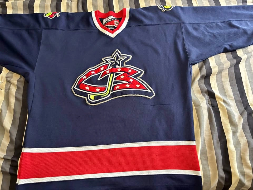 2000 Pro Player Columbus Blue Jackets Jersey (Size L)