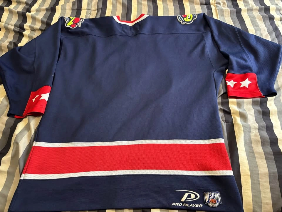 2000 Pro Player Columbus Blue Jackets Jersey (Size L) - photo 4