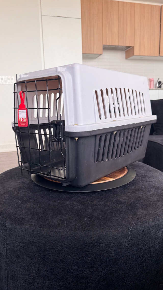 Medium Pet Carrier (Crate) for Cats or Small/Medium Dogs - photo 2