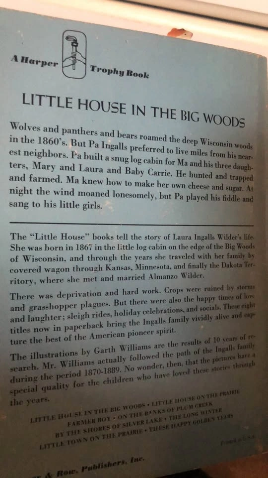 ⚽️ Little House in the Big Woods - photo 2