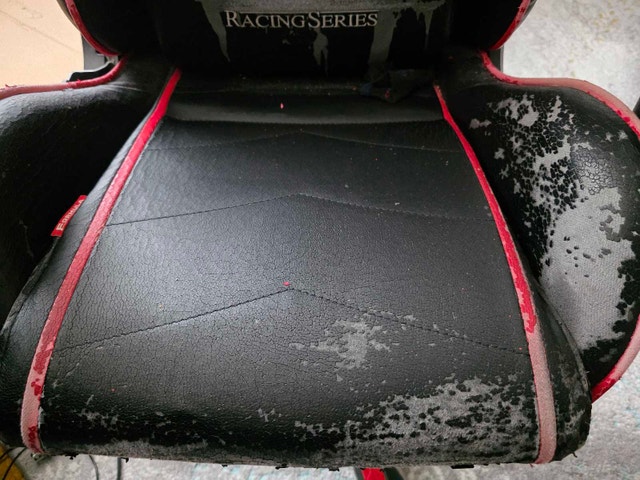 DXRacer Gaming Chair - photo 4