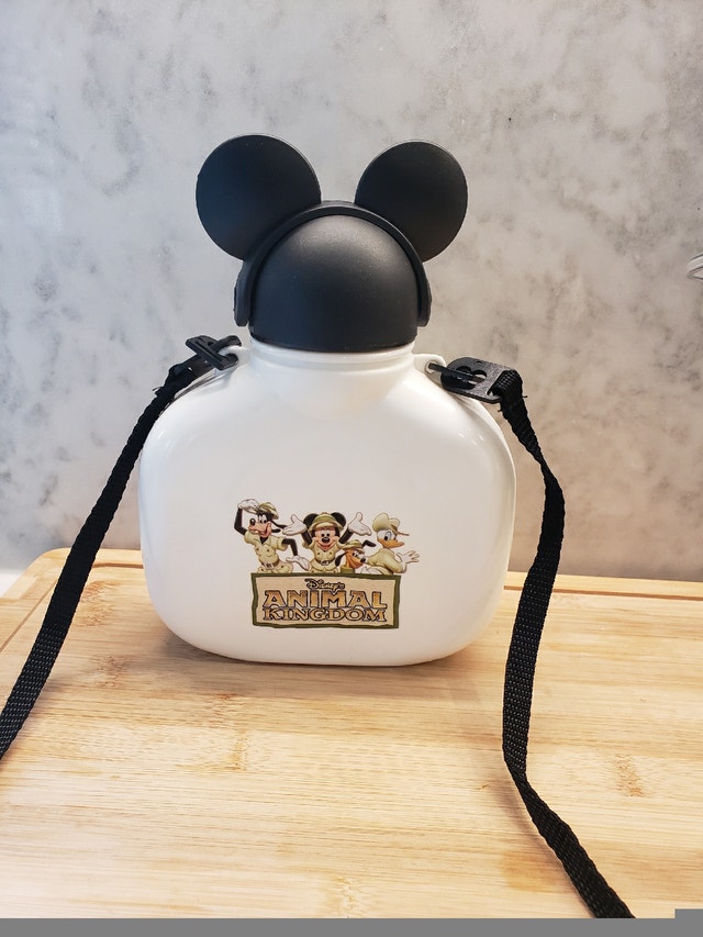 Disney Animal Kingdom Mickey & Friends Canteen Water Bottle - photo 2