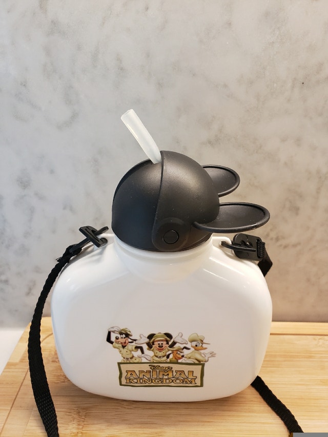 Disney Animal Kingdom Mickey & Friends Canteen Water Bottle - photo 4