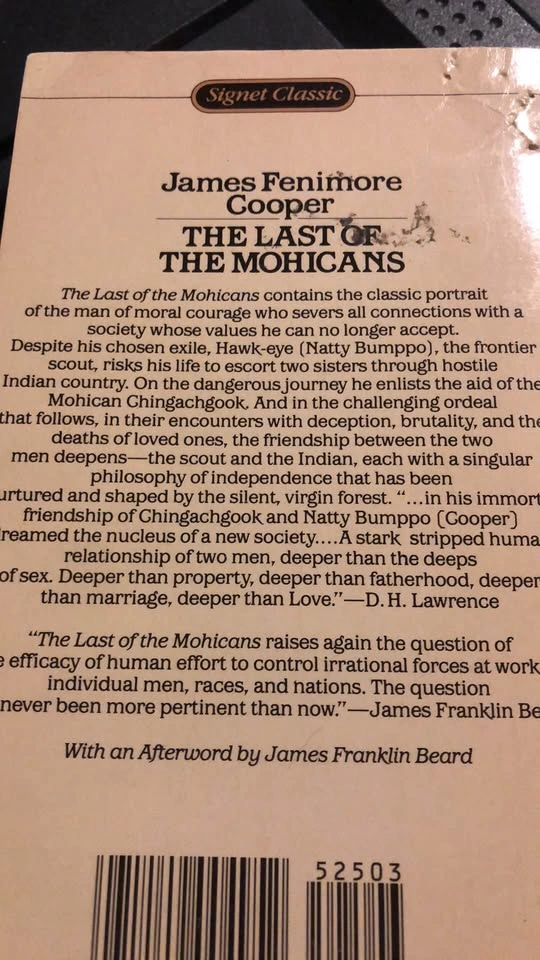 ⚽️ The Last of the Mohicans by James Fenimore Cooper - photo 2
