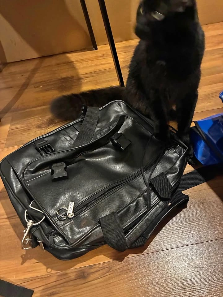 Laptop bag