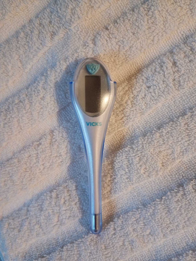 digital thermometer - photo 2