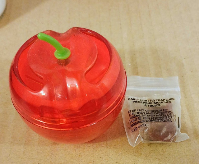 fruit fly trap with lure