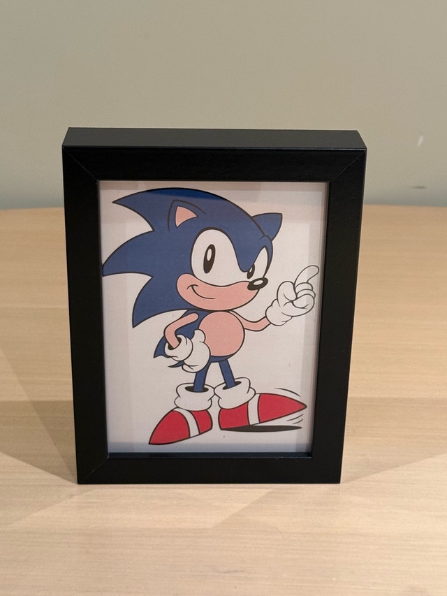 Sonic the Hedgehog Framed Art